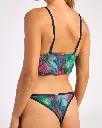5.webp
