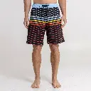 BOARSHORTCUTBACK_2(1).webp