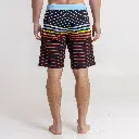 BOARSHORTCUTBACK_4(1).webp