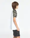2.webp